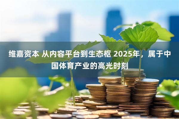 维嘉资本 从内容平台到生态枢 2025年，属于中国体育产业的高光时刻