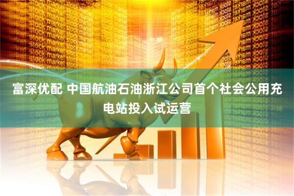 富深优配 中国航油石油浙江公司首个社会公用充电站投入试运营