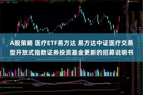 A股策略 医疗ETF易方达 易方达中证医疗交易型开放式指数证券投资基金更新的招募说明书